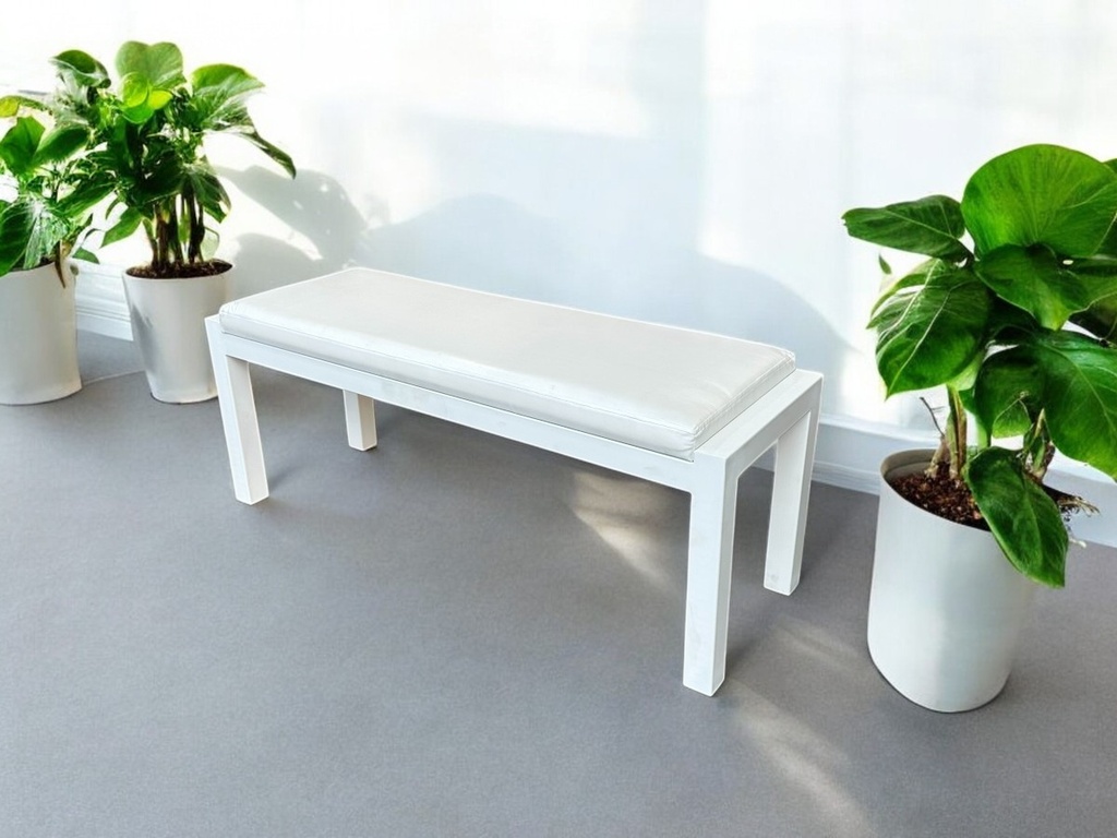 Banca metalica con asiento acolchado